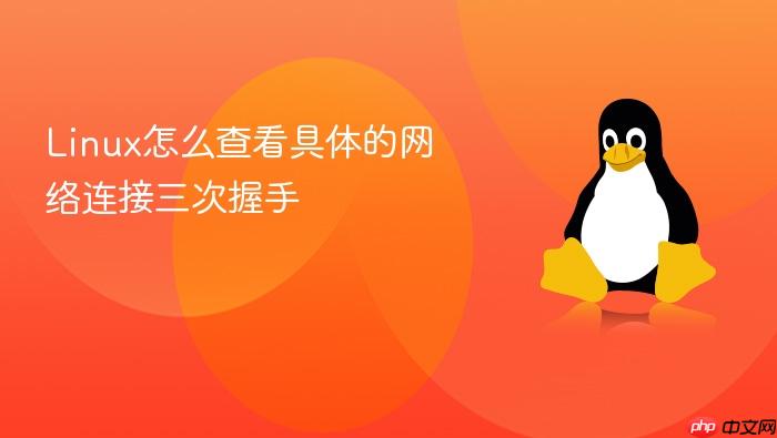 linux怎么查看具体的网络连接三次握手