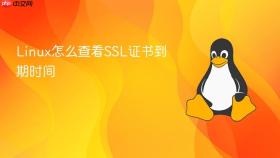 Linux怎么查看SSL证书到期时间