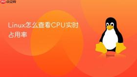 Linux怎么查看CPU实时占用率