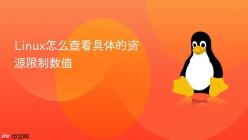 Linux怎么查看具体的资源限制数值