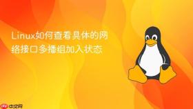 Linux如何查看具体的网络接口多播组加入状态