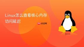 linux怎么查看核心内存访问延迟