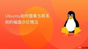 Ubuntu如何查看当前系统的磁盘分区情况