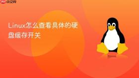 Linux怎么查看具体的硬盘缓存开关