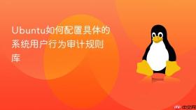 ubuntu如何配置具体的系统用户行为审计规则库
