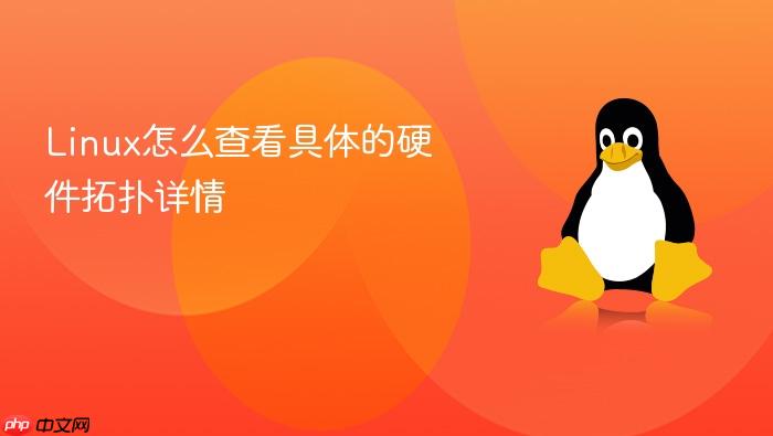 linux怎么查看具体的硬件拓扑详情