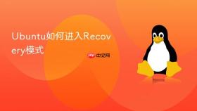 Ubuntu如何进入Recovery模式