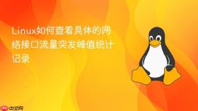Linux如何查看具体的网络接口流量突发峰值统计记录