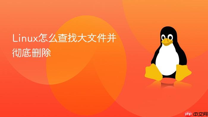 linux怎么查找大文件并彻底删除