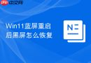 win11蓝屏重启后黑屏怎么恢复