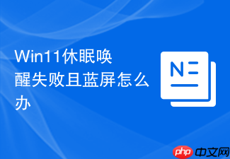win11休眠唤醒失败且蓝屏怎么办