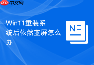 win11重装系统后依然蓝屏怎么办