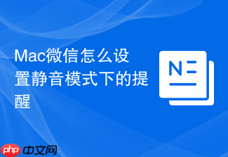 mac微信怎么设置静音模式下的提醒