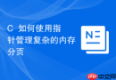c++如何使用指针管理复杂的内存分页