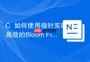 c++如何使用指针实现高效的bloom filter
