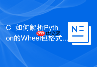c++如何解析python的wheel包格式