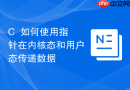 c++如何使用指针在内核态和用户态传递数据