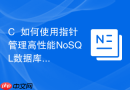 c++如何使用指针管理高性能nosql数据库的缓存层