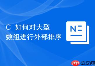c++如何对大型数组进行外部排序