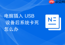 电脑插入 USB 设备后系统卡死怎么办