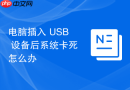 电脑插入 usb 设备后系统卡死怎么办