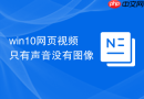 win10网页视频只有声音没有图像