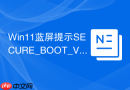 Win11蓝屏提示SECURE_BOOT_VIOLATION怎么办