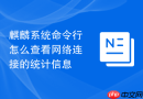 麒麟系统命令行怎么查看网络连接的统计信息