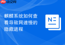 麒麟系统如何查看导致网速慢的隐藏进程