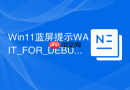 Win11蓝屏提示WAIT_FOR_DEBUGGER_EXCEPTION怎么办