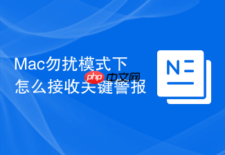 mac勿扰模式下怎么接收关键警报