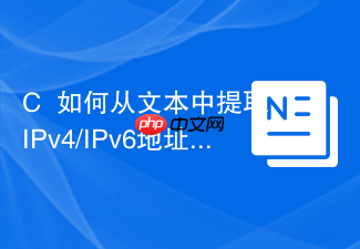 c++如何从文本中提取ipv4/ipv6地址