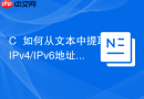 C++如何从文本中提取IPv4/IPv6地址