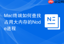 mac终端如何查找占用大内存的node进程