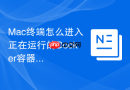 mac终端怎么进入正在运行的docker容器