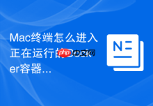 Mac终端怎么进入正在运行的Docker容器