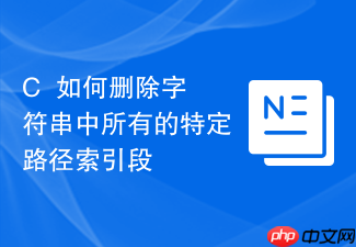 c++如何删除字符串中所有的特定路径索引段