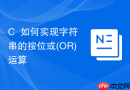 C++如何实现字符串的按位或(OR)运算
