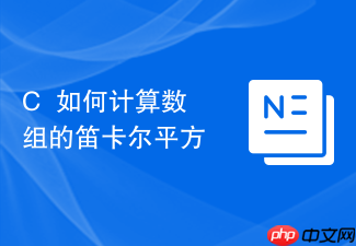 c++如何计算数组的笛卡尔平方