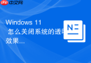 windows 11 怎么关闭系统的透明效果
