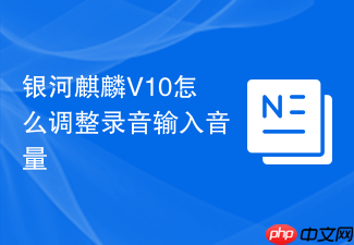 银河麒麟v10怎么调整录音输入音量