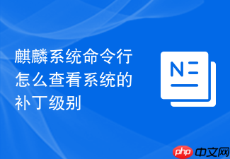 麒麟系统命令行怎么查看系统的补丁级别