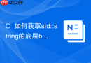 c++如何获取std::string的底层buffer地址