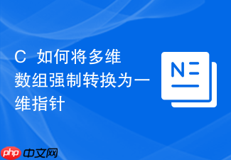 c++如何将多维数组强制转换为一维指针