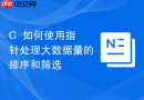 c++如何使用指针处理大数据量的排序和筛选