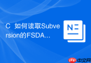 C++如何读取Subversion的FSDATA