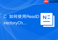 C++如何使用ReadDirectoryChangesW监控文件