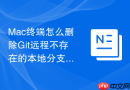 Mac终端怎么删除Git远程不存在的本地分支