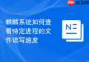 麒麟系统如何查看特定进程的文件读写速度
