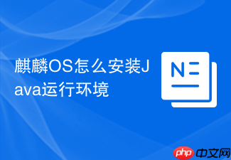 麒麟os怎么安装java运行环境